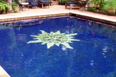 poolpic19