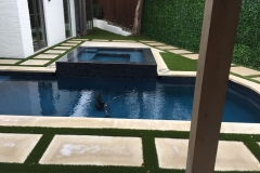 Pool 65